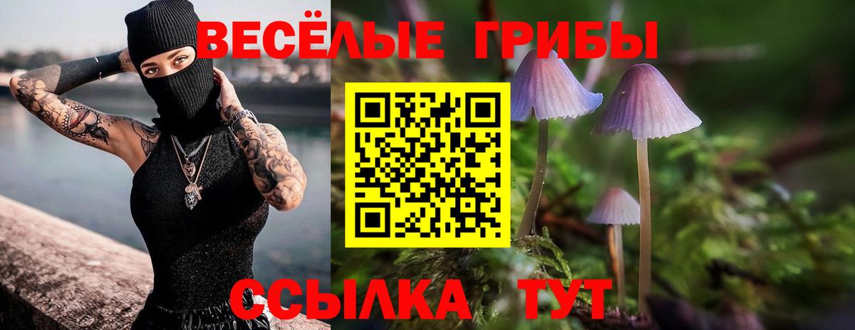 Псилоцибиновые грибы Magic Shrooms Бутурлиновка